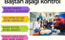 Baştan Aşağı Kontrol Aşamaları