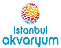 istanbul_akvaryum