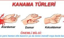 Kanama Çeşitleri