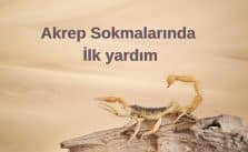 Akrep Sokması