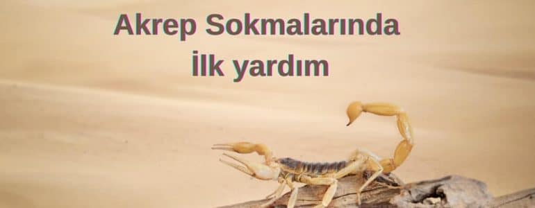 Akrep sokması