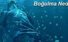 Boğulma Nedenleri
