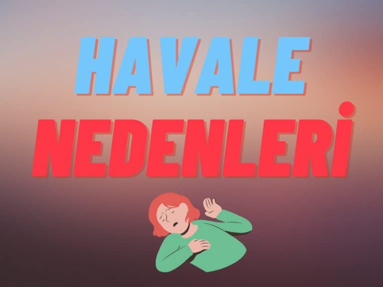 Havale nedenleri
