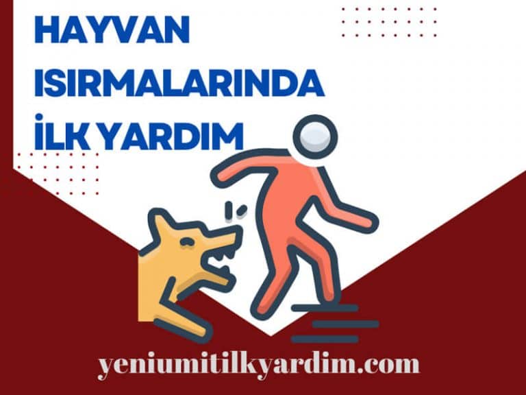 Hayvan ısırmalarında ilk yardım
