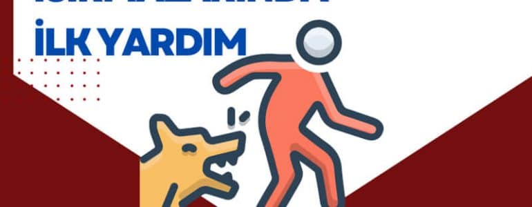 Hayvan ısırmalarında ilk yardım