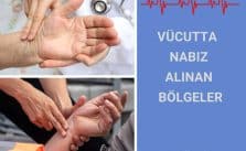 Vücutta nabız alınabilen bölgeler nelerdir?