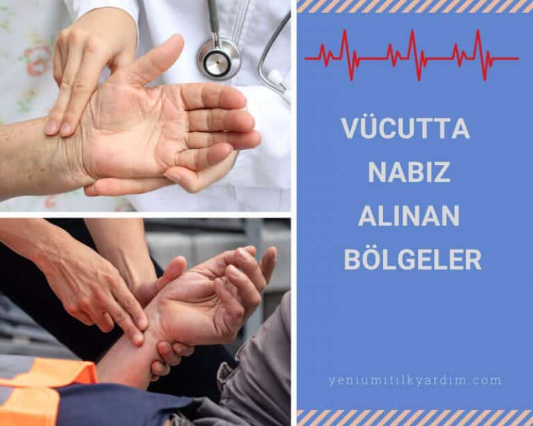 Nabız alınan bölgeler