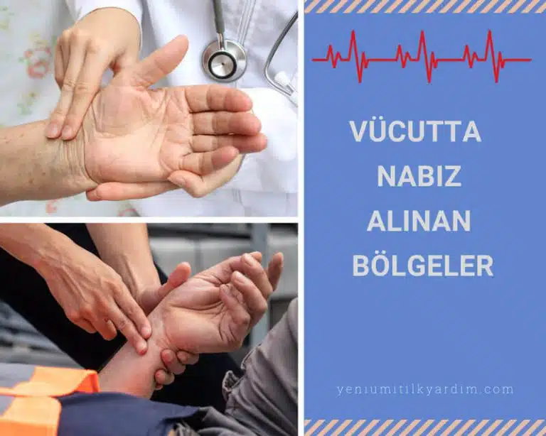 Nabız alınan bölgeler