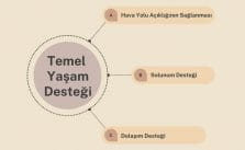 Temel Yaşam Desteği nedir?