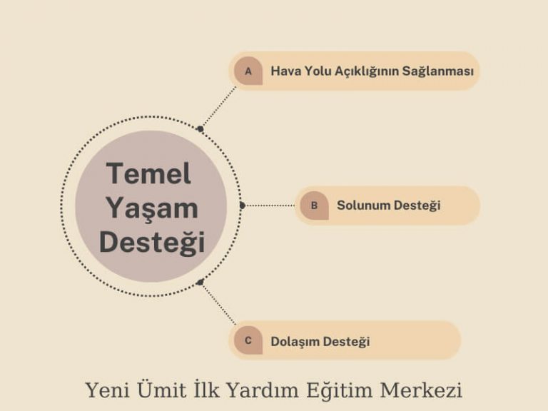 Temel Yaşam Desteği