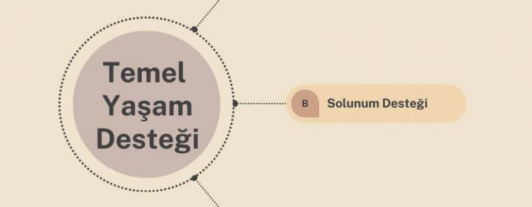 Temel Yaşam Desteği