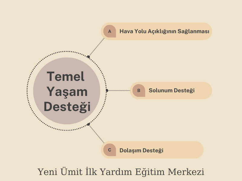 Temel Yaşam Desteği